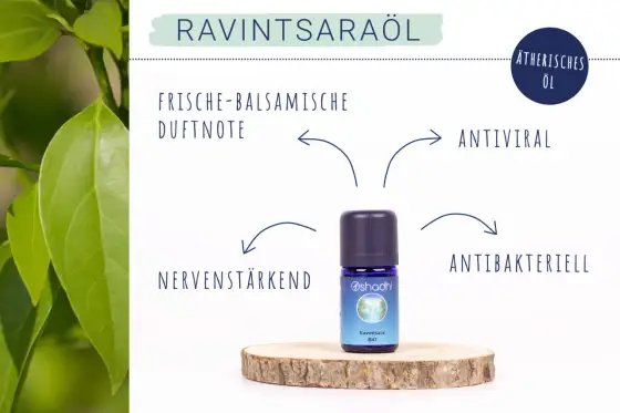 Ravintsara - was das Öl für die Psyche wirklich leisten kann